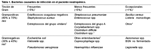  Tabla 1. Bacterias causantes de infeccin en el